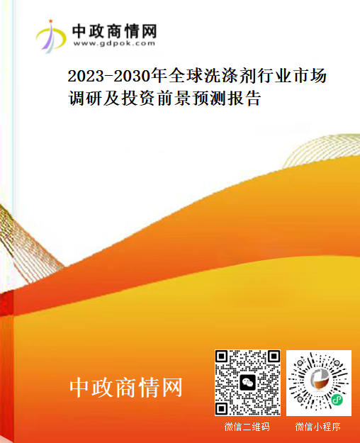 2023-2030年全球洗涤剂行业市场调研及投资前景预测报告