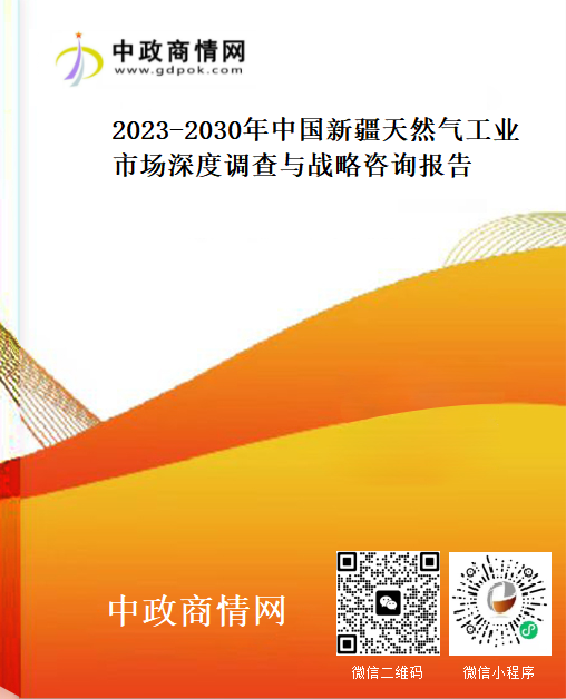 2023-2030年中国新疆天然气工业市场深度调查与战略咨询报告
