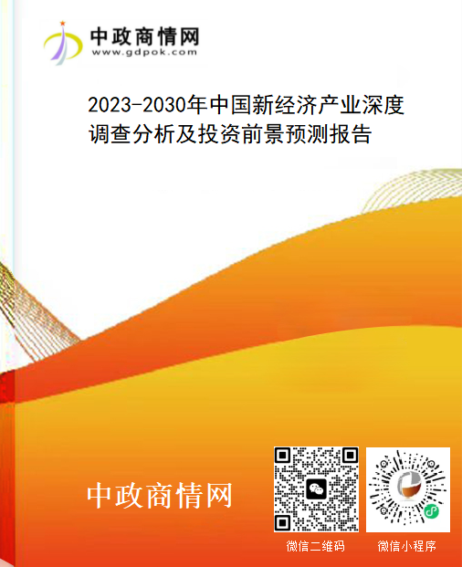 2023-2030年中国新经济产业深度调查分析及投资前景预测报告