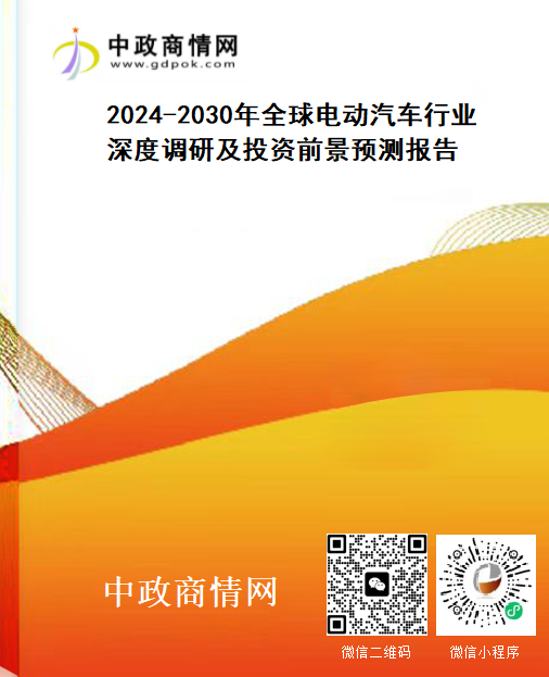 2024-2030年全球电动汽车行业深度调研及投资前景预测报告